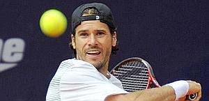 Tommy Haas, 34 anni. Reuters