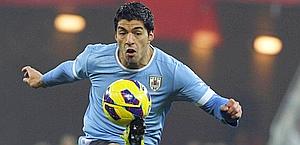 Luis Suarez, attaccante dell'Uruguay e del Liverpool. Ap