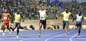 Bolt in azione a Kingston. Reuters