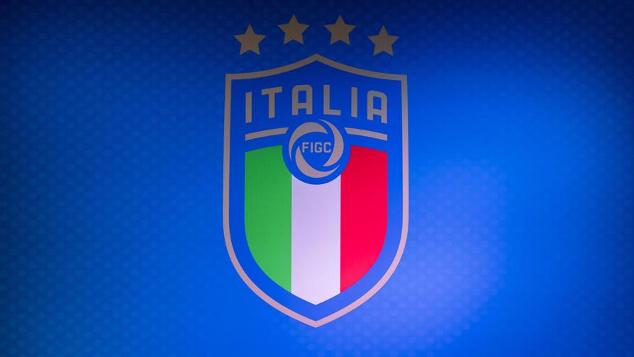 Risultati immagini per italia figc logo