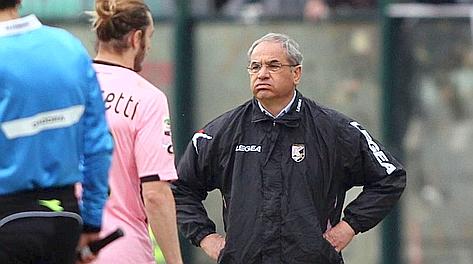 Bortolo Mutti, allenatore del Palermo, durante la partita contro il Siena. Lapresse