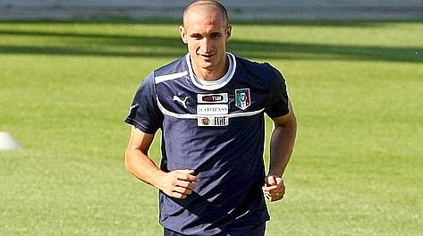 Giorgio Chiellini, 28 anni, 55 volte in azzurro. Forte