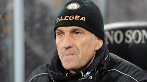Francesco Guidolin, tecnico dell'Udinese. Lapresse