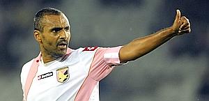 Fabio Liverani, svincolato dal Palermo: tentato da Dubai. Lapresse