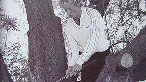 Bernhard Langer costetto a colpire su un albero a Fulford nell'81