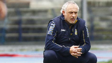 Andrea Mandorlini  l'allenatore del Verona. LaPresse