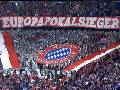 FC Schalke 04 - FC Bayern Mnchen 1-1