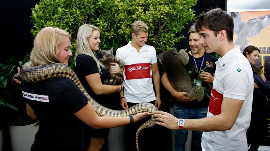 Il serpente tuttofare, Running Snake in Italian