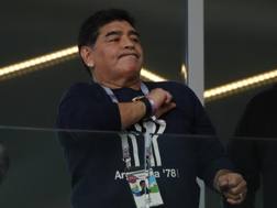 Diego Armando Maradona. Ap