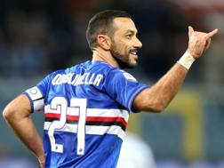 Fabio Quagliarella, 35 anni, attaccante della Sampdoria. Kulta