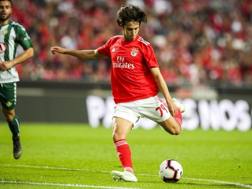 Joao Felix, talento del Benfica. Epa