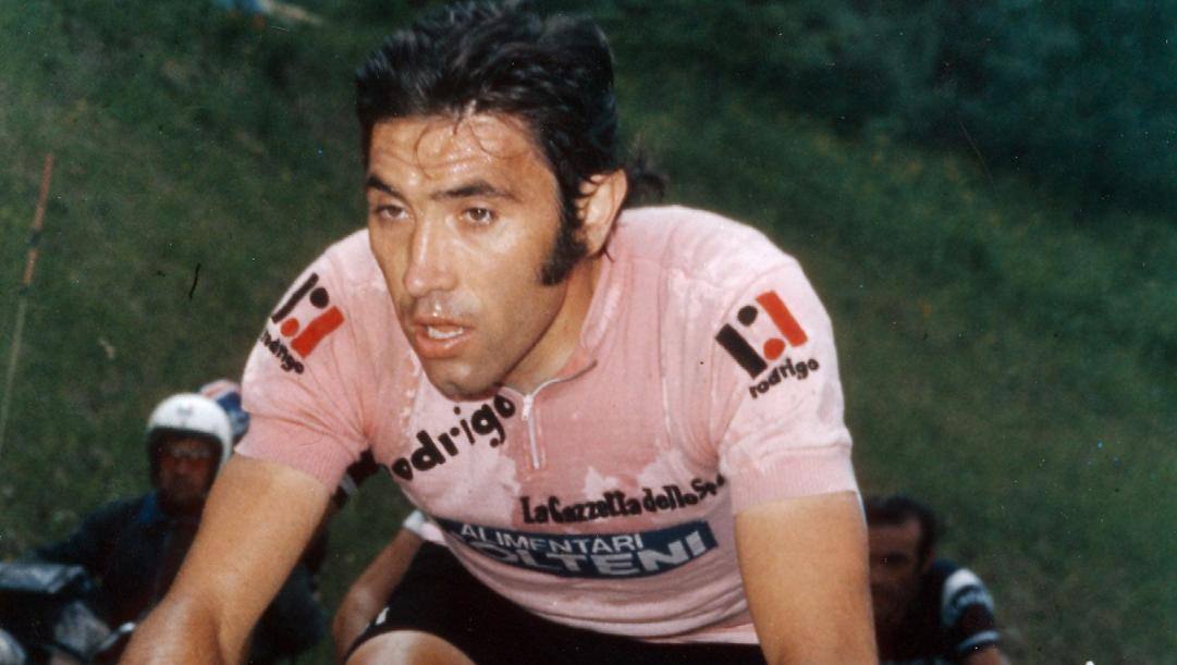 Eddy Merckx in rosa. Il Cannibale ha conquistato 5 volte il Giro e il Tour, più 1 Vuelta  
