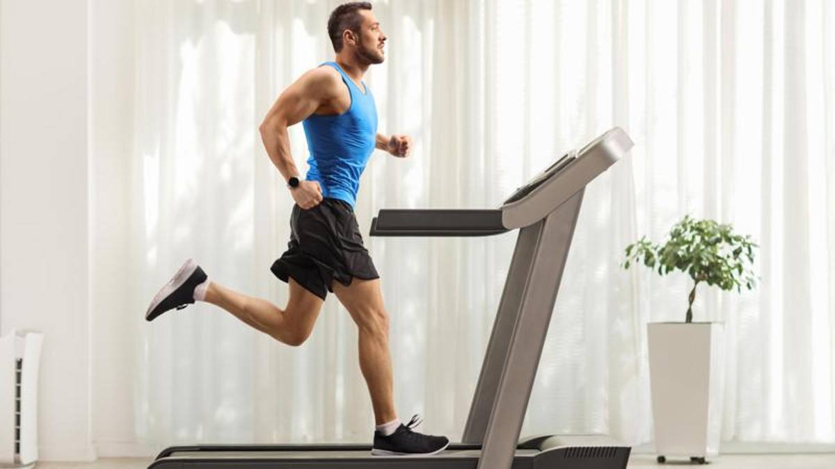 Workout: what is the best time to train? A study reveals the right stages for sport - Archyde