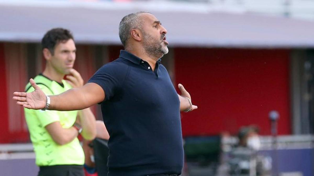 BolognaLecce 22, Liverani all'arbitro sul rigore "Sei senza cuore