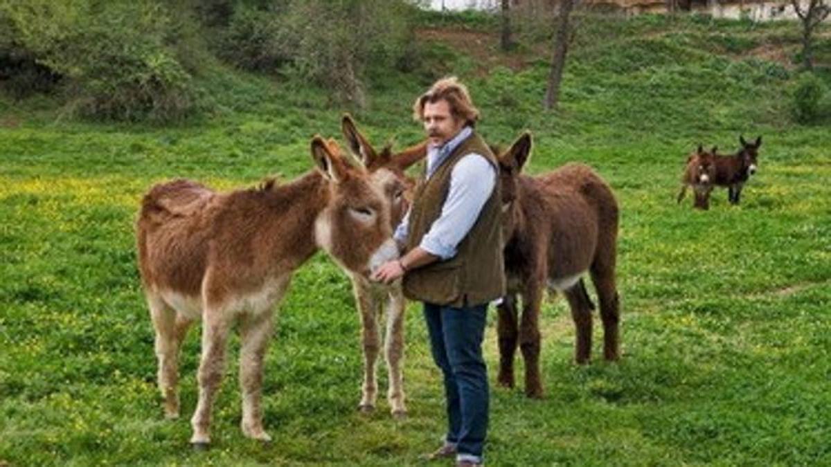Lo Cicero e l'asina uccisa dal cacciatore: “Ho scritto a Costa, voglio una legge seria“