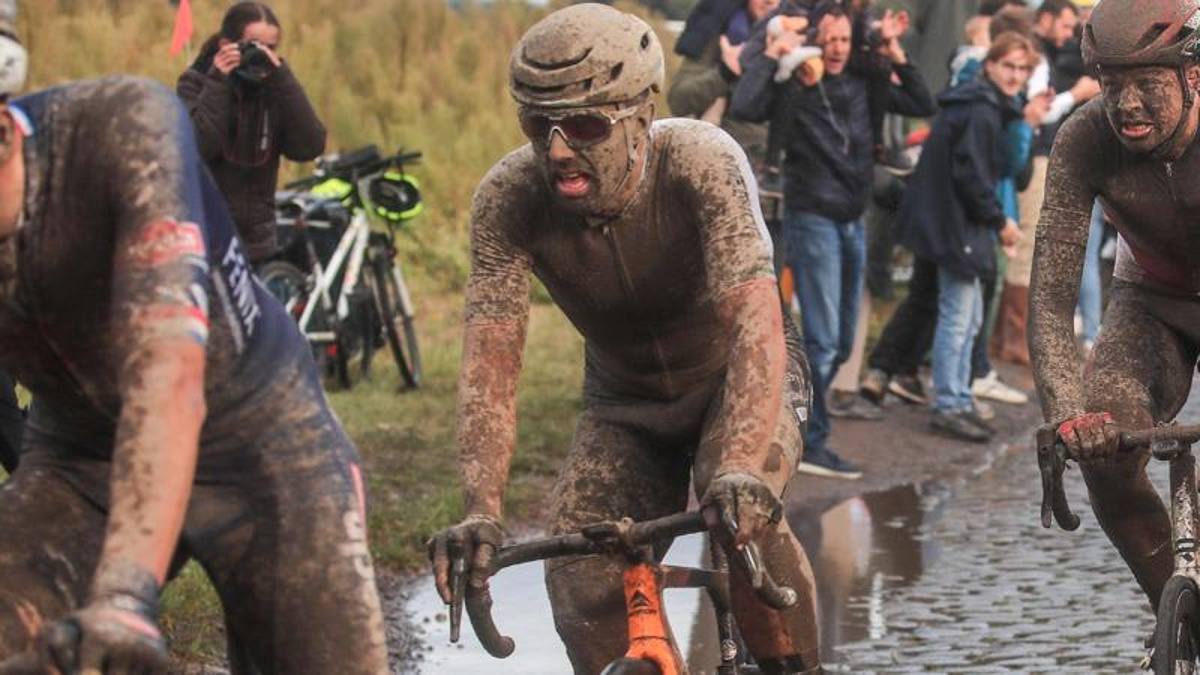Merckx: “Colbrelli super: si stupisce solo chi non lo conosce”