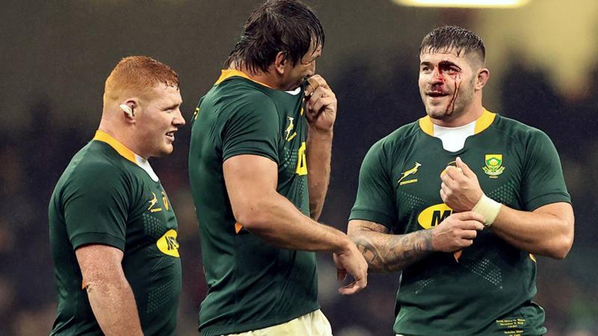 Sudafrica infinito, con una meta di Marx nel finale piega il Galles 23-18