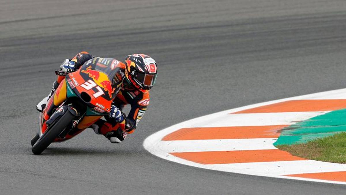 MotoGP Valencia LIVE, Moto3, Masia commands.  At 2 pm the start of the MotoGP |  The direct