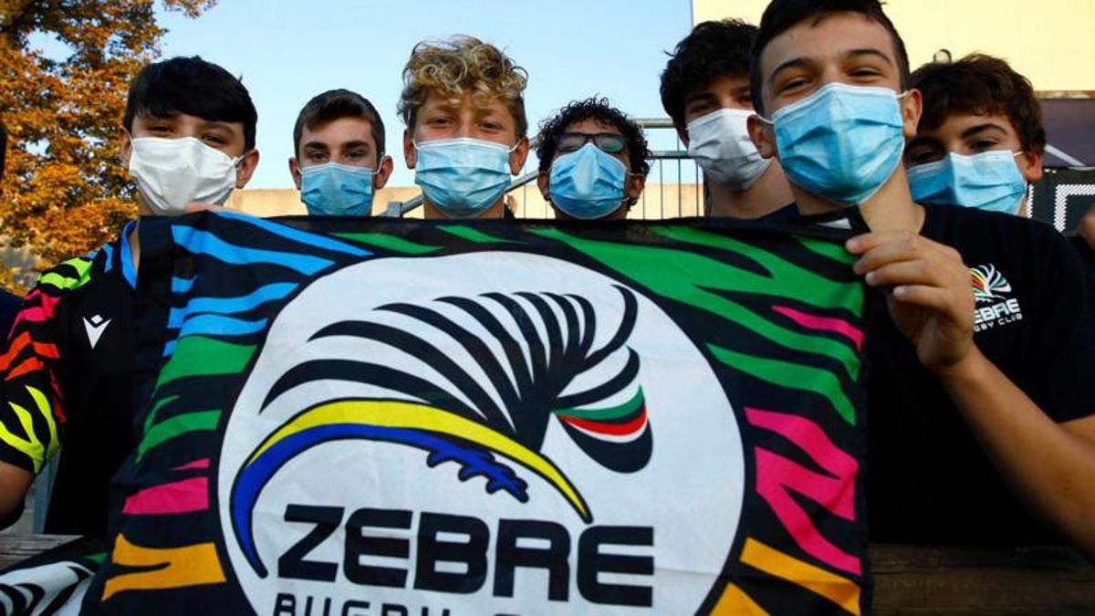 Zebre: ancora tutti negativi, sono tornati ad allenarsi