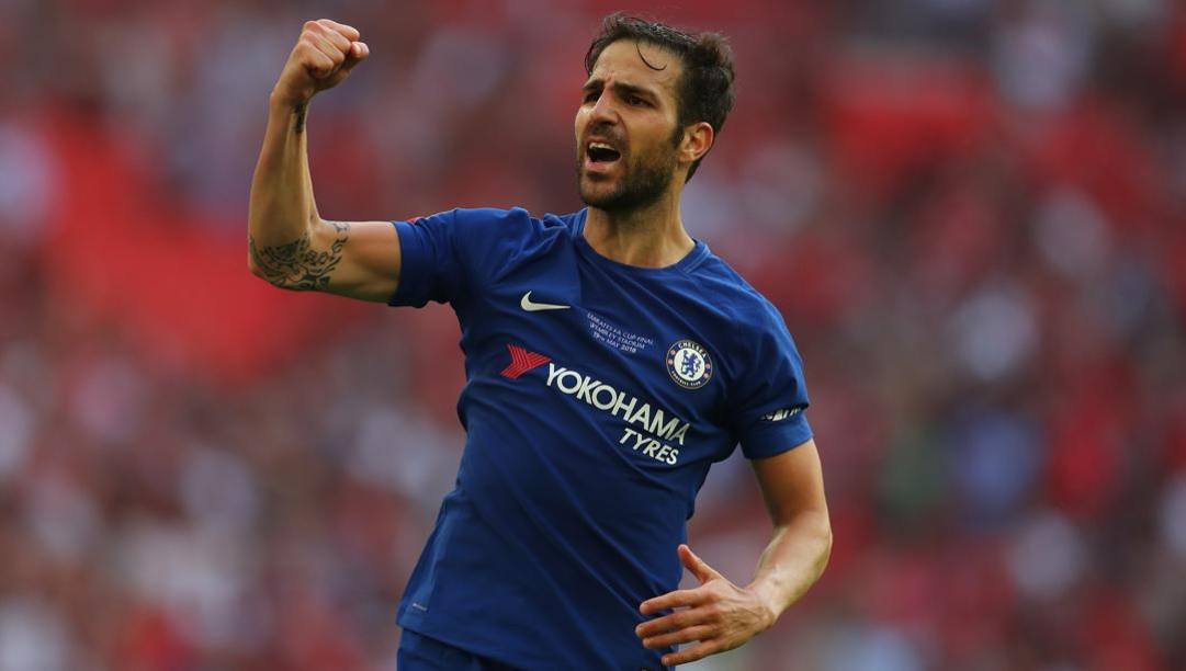 Cesc Fabregas. Getty   