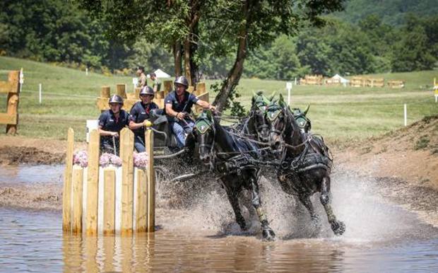 Equitazione, Mondiali attacchi ai Pratoni del Vivaro La Gazzetta