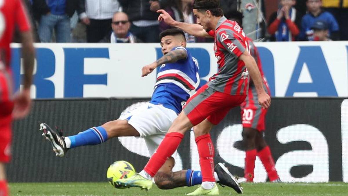 Sampdoria-Cremonese, Le Pagelle: Male Amione, 5. Sernicola Ok: 7 - La ...