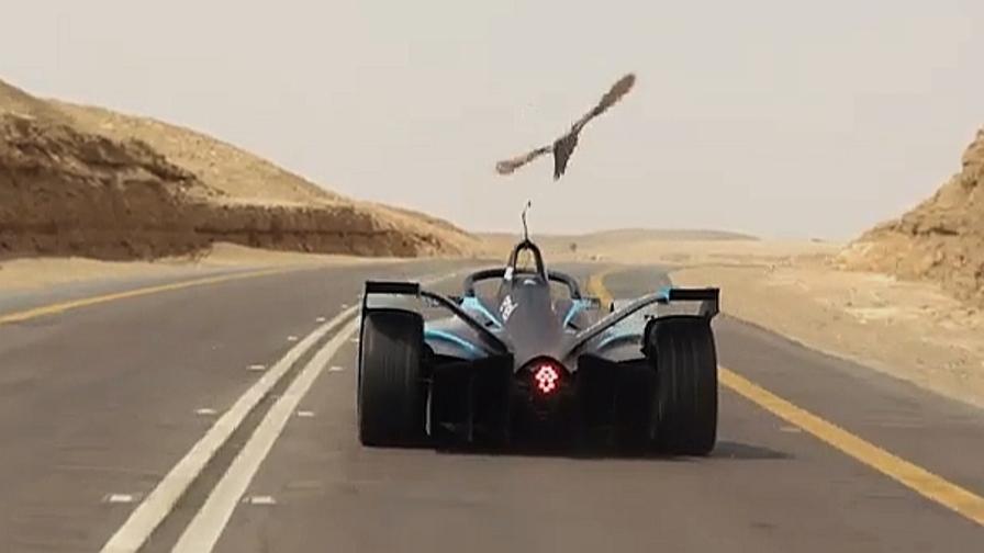 Formula E Felipe Massa Sfida Un Falco Nel Deserto Dell