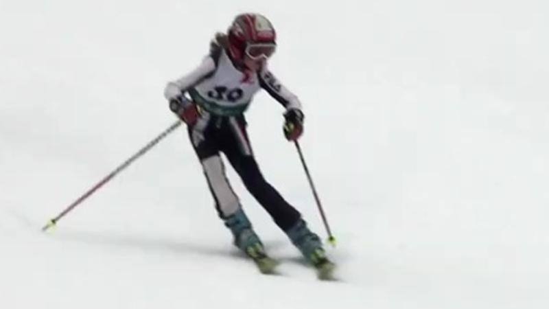 Tutto Bologna Web - Ultime notizie